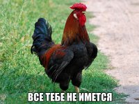  все тебе не имется