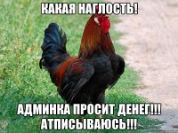 Какая наглость! Админка просит денег!!! Атписываюсь!!!