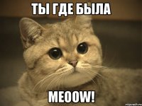 Ты где была Meoow!