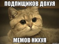 подпищиков дохуя мемов нихуя