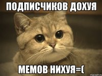 Подписчиков дохуя Мемов нихуя=(