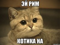 Эй Рим Котика на