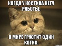 Когда у Костика нету работы. В Мире грустит один котик.