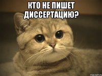 Кто не пишет диссертацию? 