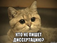  Кто не пишет диссертацию?