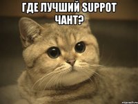 Где лучший Suppot чант? 