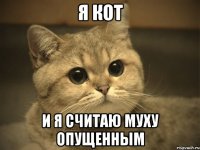 Я кот И я считаю муху опущенным