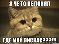 Я че то не понял Где мой ВИСКАС???!!!