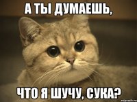 А ты думаешь, что я шучу, сука?