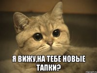  Я вижу,на тебе новые тапки?