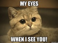 My eyes when I see you!