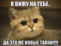 я вижу на тебе.. ДА ЭТО ЖЕ НОВЫЕ ТАПКИ!!!!