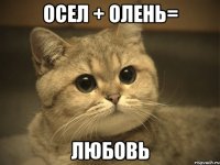 Осел + Олень= Любовь