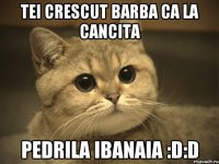 Tei Crescut Barba ca la Cancita Pedrila Ibanaia :D:D