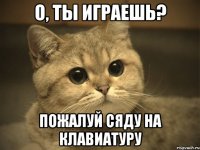 О, ты играешь? пожалуй сяду на клавиатуру