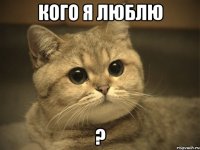 кого я люблю ?