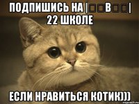 Подпишись на |̳̿В̳̿| 22 ШКОЛЕ Если нравиться котик)))