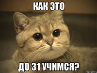 как это до 31 учимся?