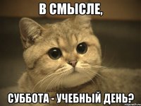 в смысле, суббота - учебный день?