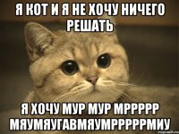 я кот и я не хочу ничего решать я хочу МУР МУР МРРРРР МЯУМЯугавмяумрррррмиу