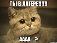 Ты в Лагере!!!!!! Аааа....?