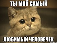 Ты мой самый любимый человечек