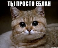 ты просто еблан 