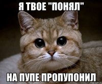 я твое "понял" на пупе пропупонил