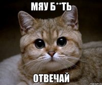 Мяу б**ть Отвечай