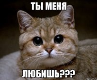 ты меня любишь???