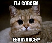 Ты совсем Ебанулась?