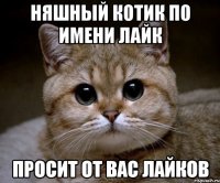 няшный котик по имени лайк просит от вас лайков