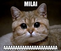 MILAI AAAAAAAAAAAAAAAAAAAAAAA