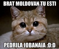 Brat Moldovan tu esti PEDRILA IOBANAIA :D:D