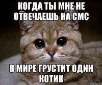 когда ты мне не отвечаешь на смс в мире грустит один котик