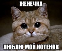 Женечка люблю мой котенок