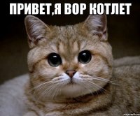 привет,я вор котлет 