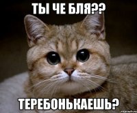 Ты че бля?? Теребонькаешь?