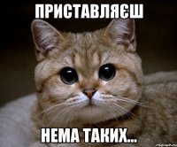 Приставляєш нема таких...