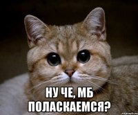  ну че, мб поласкаемся?