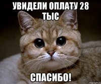 Увидели оплату 28 тыс спасибо!