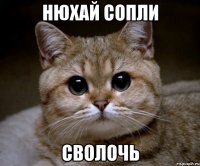 нюхай сопли сволочь