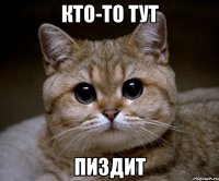 Кто-то тут Пиздит