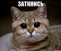 Заткнись 