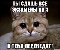 Ты сдашь все экзамены на 4 И тебя переведут!