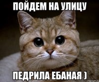 Пойдем на улицу Педрила Ебаная )