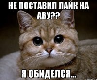 Не поставил лайк на аву?? Я обиделся...