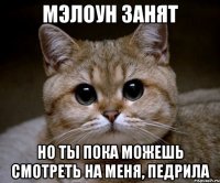 Мэлоун занят но ты пока можешь смотреть на меня, педрила