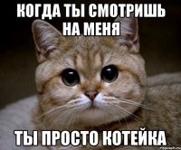 Когда ты смотришь на меня Ты просто Котейка