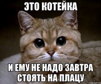 Это котейка и ему не надо завтра стоять на плацу